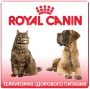 Royal Canin -здоровое питание для собак и кошек